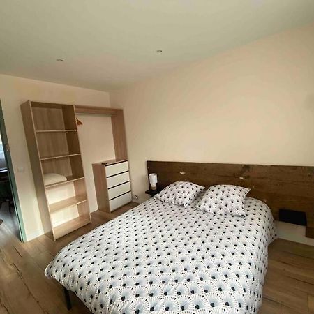 Grand Appartement 7 Couchages, 1 Place De Parking. Saint-Priest  Buitenkant foto